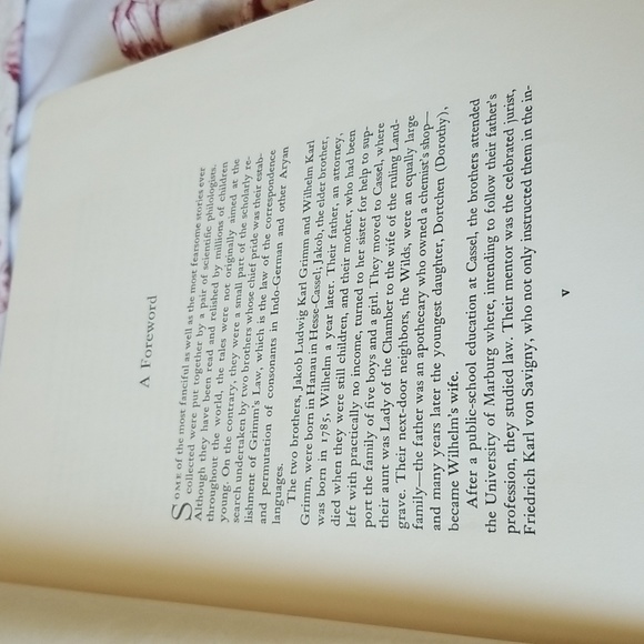 Grimm's Fairy 1 - Picture 9 of 16